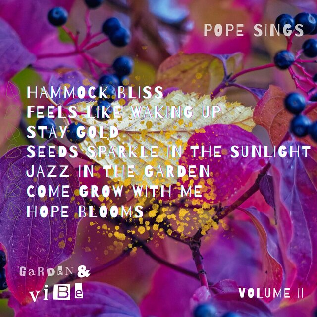 Pope Sings Presents Garden And Vibe Volume II
