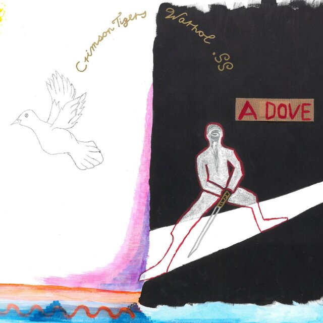 A Dove