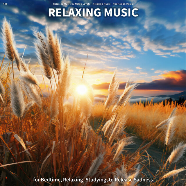 #01 Relaxing Music for Bedtime, Relaxing, Studying, to Release Sadness