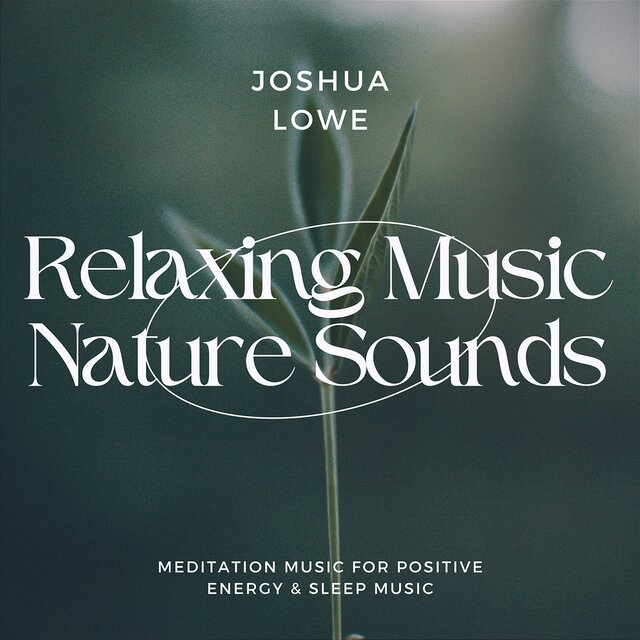 Relaxing Music Nature Sounds - Meditation Music for Positive Energy & Sleep Music