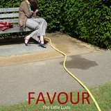 The Flaneur