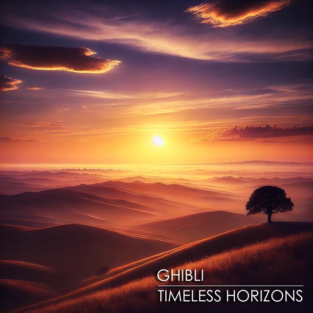 Timeless Horizons