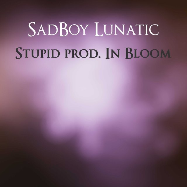 Stupid