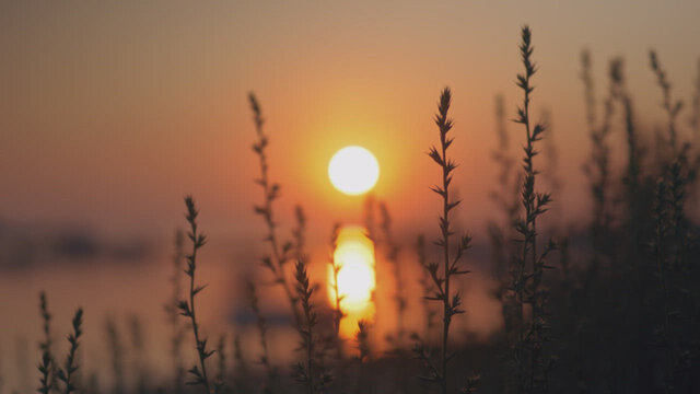 Meditación Guiada 1. (Relajación a través de la respiración Respiración diafragmática)