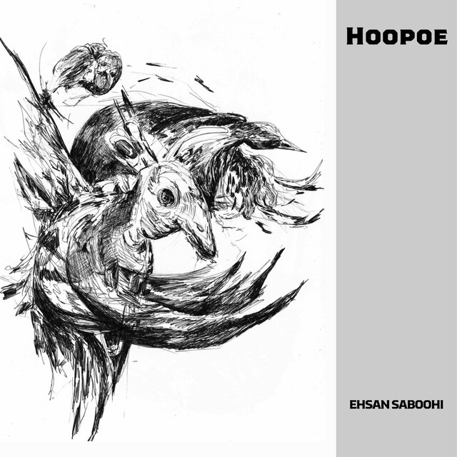 Hoopoe