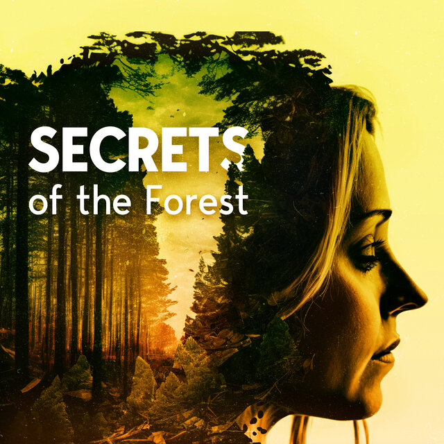 Secrets of the Forest: Hidden Sounds of Serene Nature