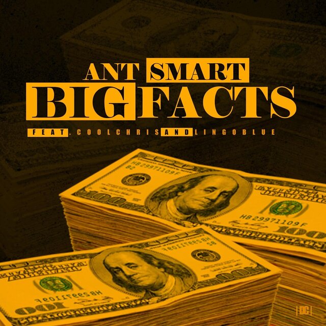 Big Facts (feat. Cool Chris & Lingo Blue)