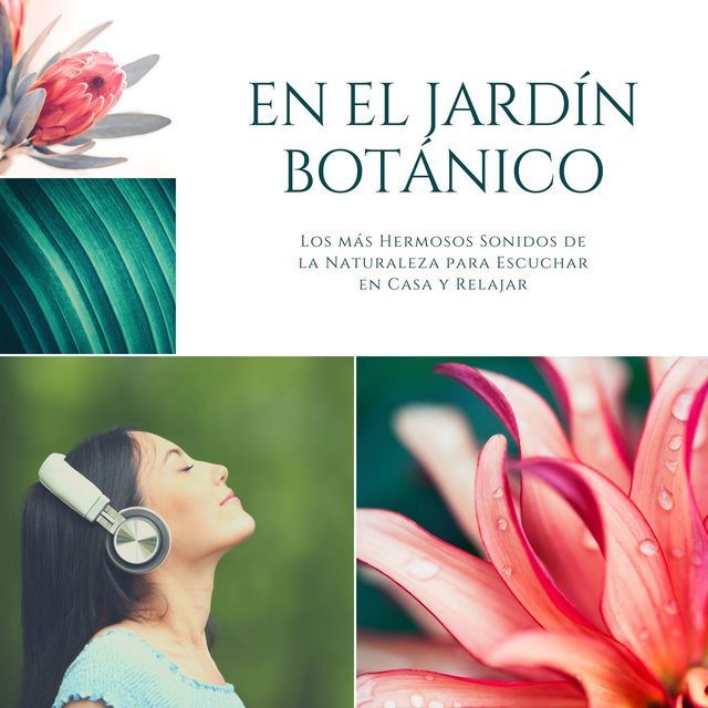 En el Jardín Botánico: Los más Hermosos Sonidos de la Naturaleza para Escuchar en Casa y Relajarte