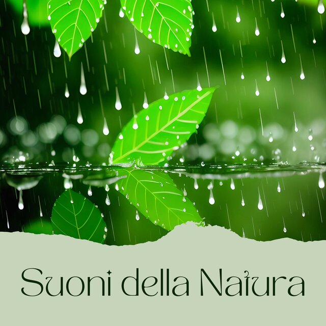 Suoni della natura: melodie tranquille per il relax e il benessere
