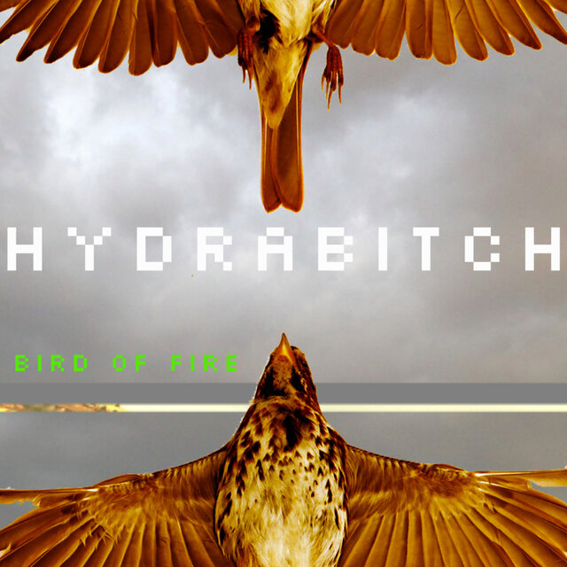 Bird of Fire