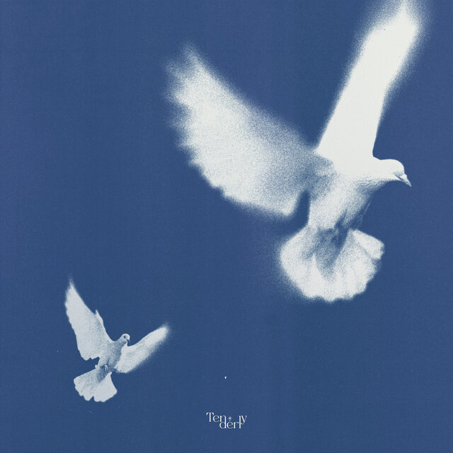 Tenderly