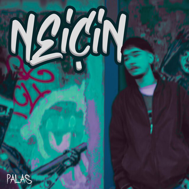 Ne İçin