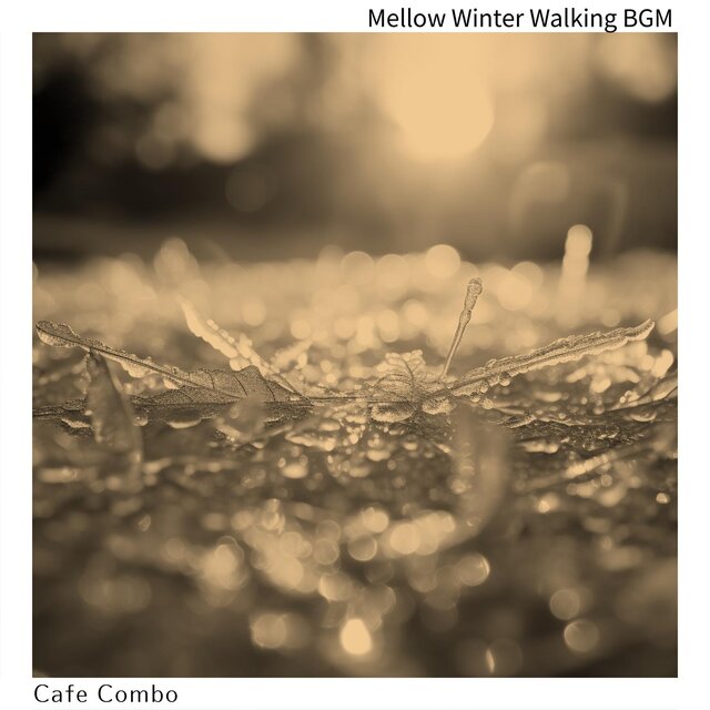 Mellow Winter Walking Bgm