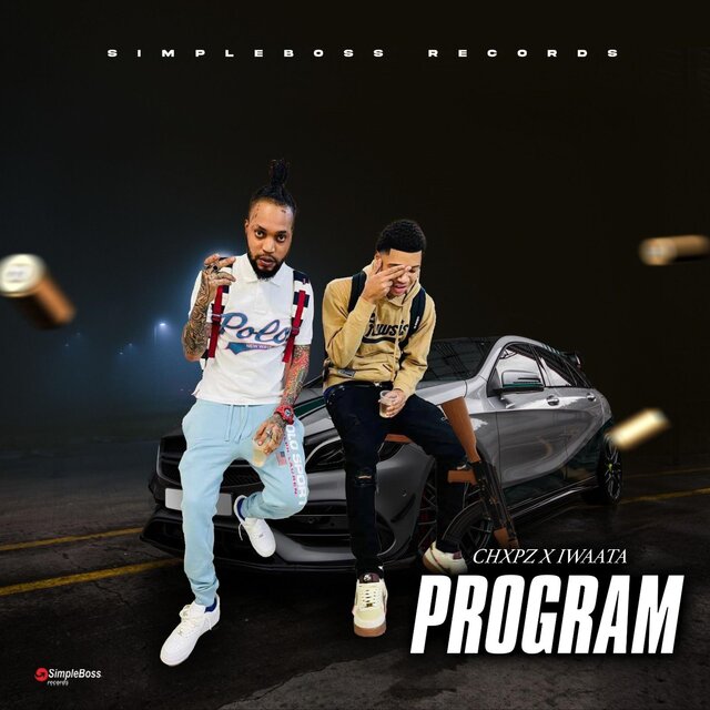 PROGRAM