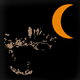 Cover art for album Half Moon by B/B/S/