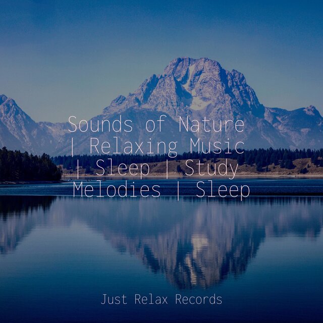 Sounds of Nature | Relaxing Music | Sleep | Study Melodies | Sleep