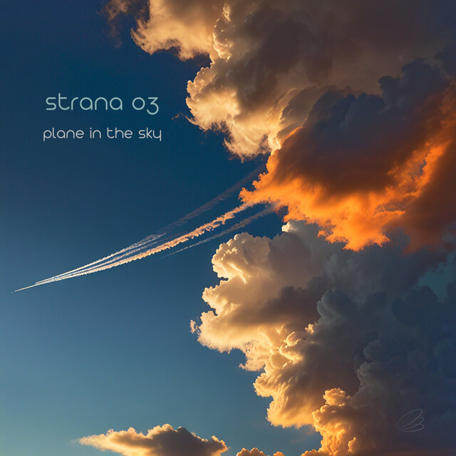 Plane in the Sky