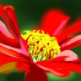 Wildflower (feat. Kara)