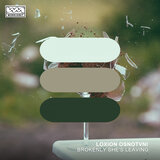 Brokenly She's Leaving (Original Mix)