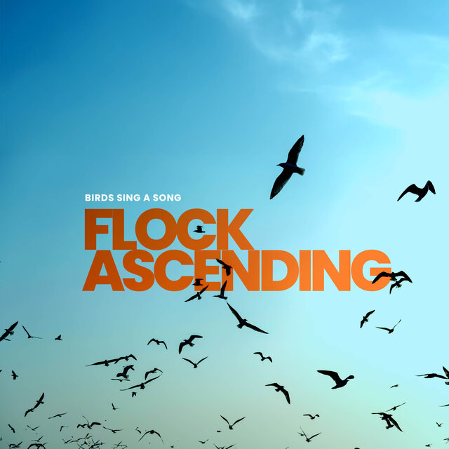 Flock Ascending