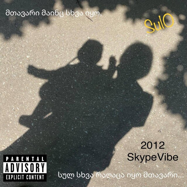 SkypeMicVibe2012