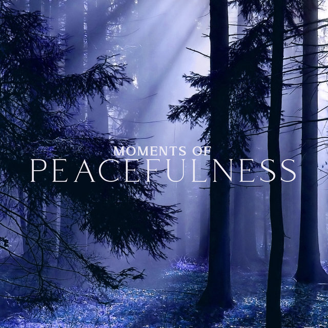 Moments of Peacefulness (Soothing Rain and Forest Sounds, Anxiety Relief)