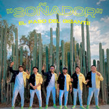 Soñador / El Paso del Gigante / La Cumbia de la Cerveza / Camino al Cielo / Yo Soy de Puebla