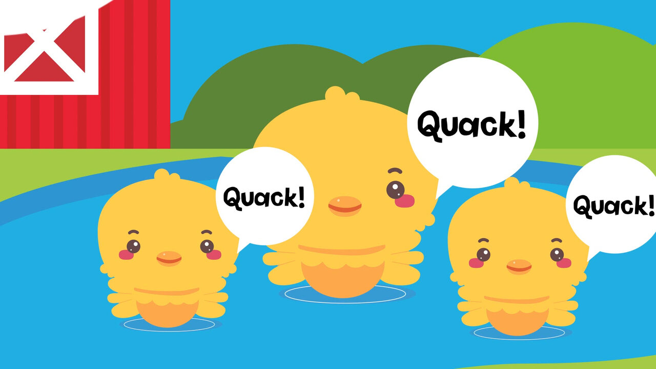 Animal Sounds Song