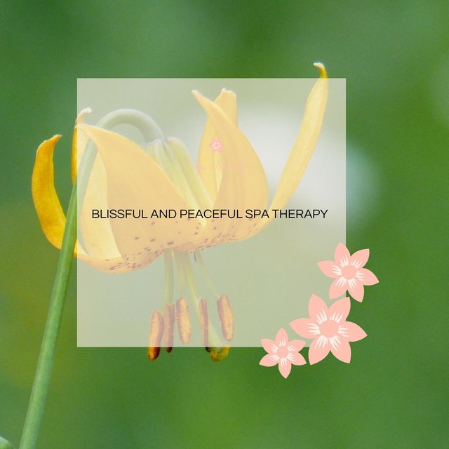 Blissful And Peaceful Spa Therapy