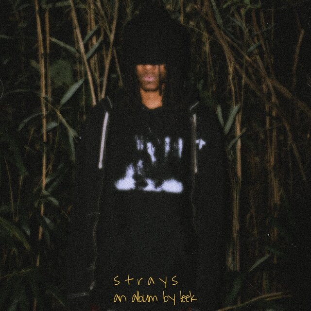 STRAYS