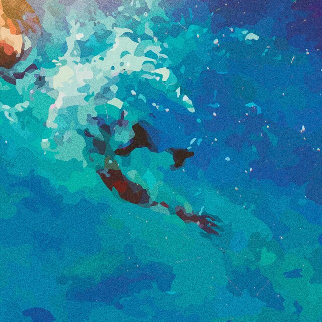 LE PLONGEON