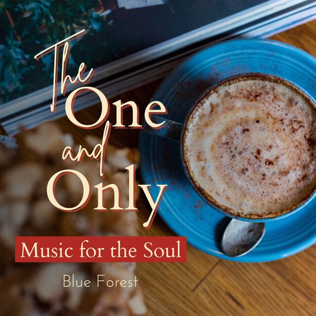 The One and Only - Music for the Soul