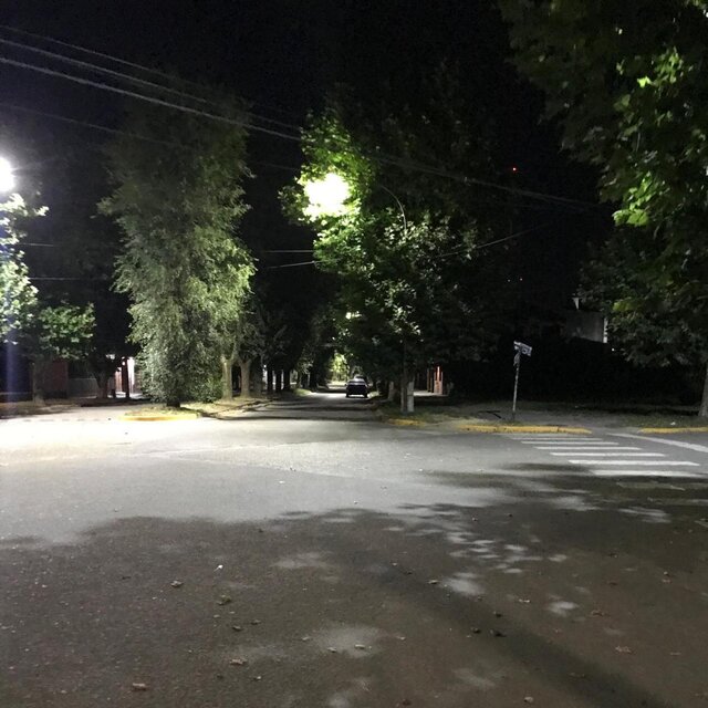 Campos Elíseos