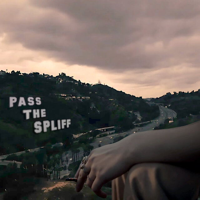 Pass The Spliff