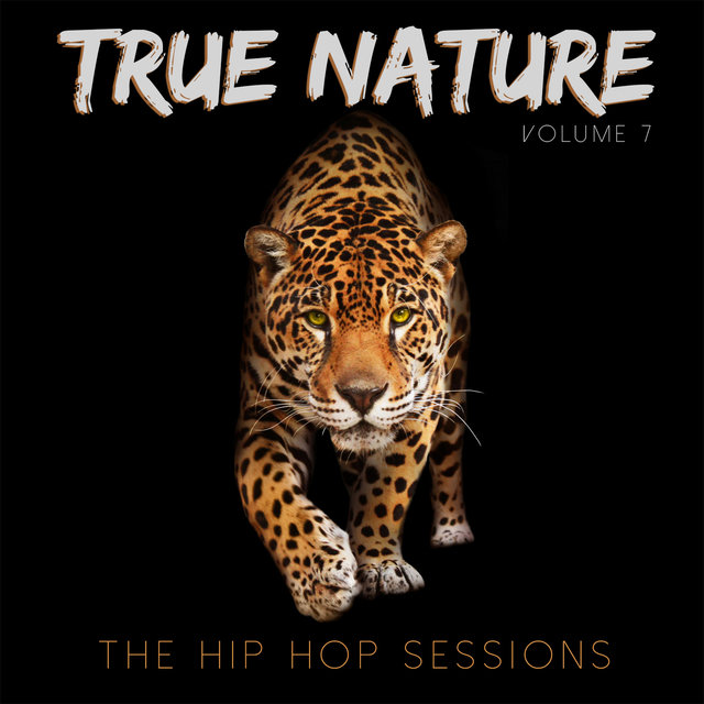 True Nature: The Hip Hop Sessions, Vol. 7