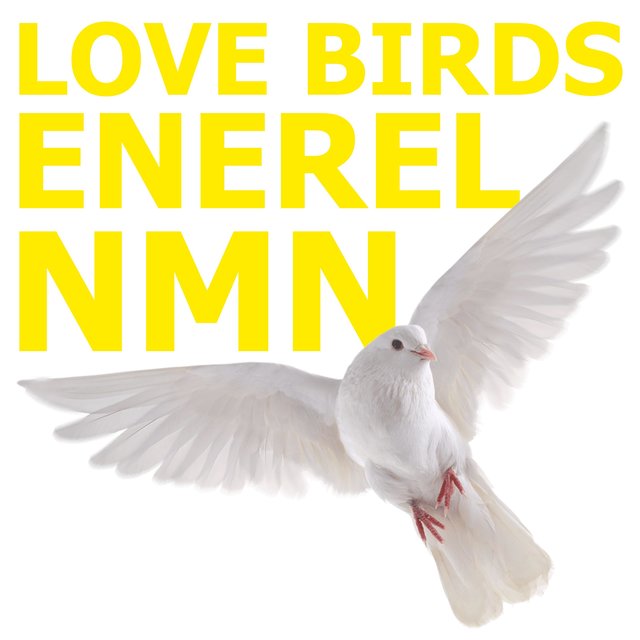 Love Birds (feat. NMN)