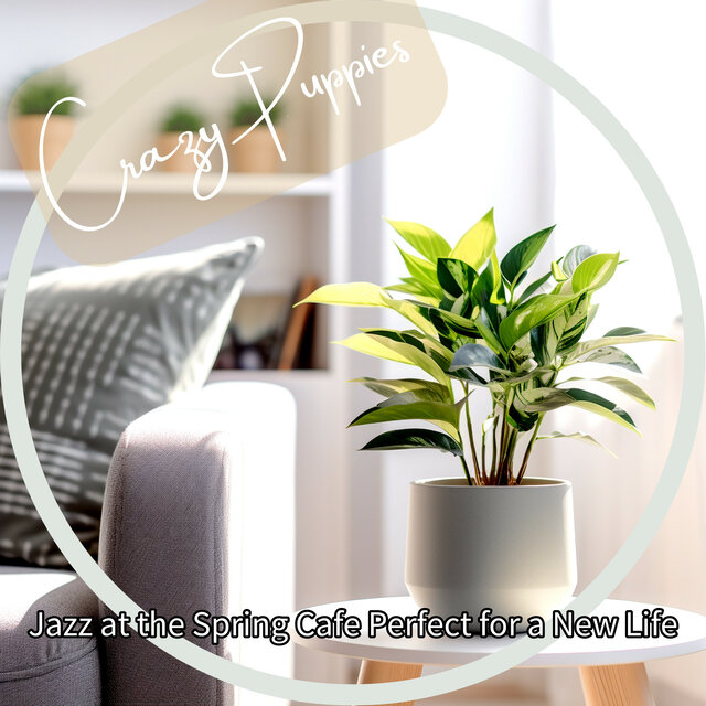 Jazz at the Spring Cafe Perfect for a New Life