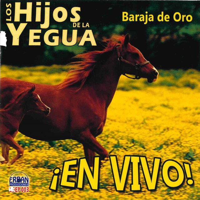 Baraja de Oro , En Vivo