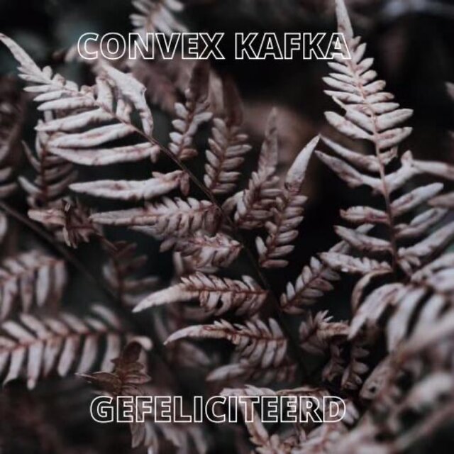 Gefeliciteerd