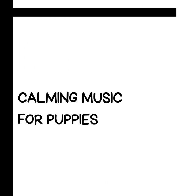 Calming Music For Puppies