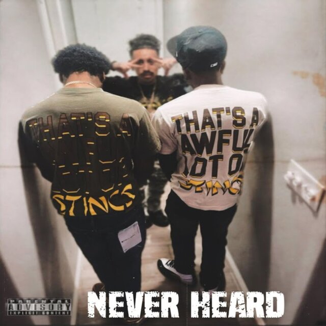 Never Heard