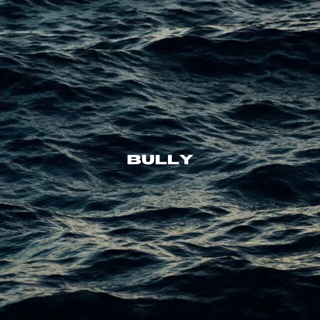 bully (feat. Małach, DJ Kebs & Salvare)