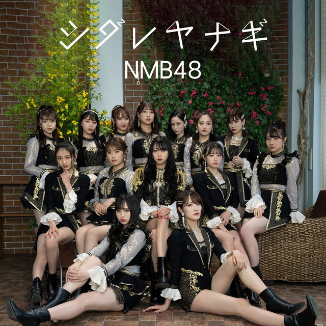 Nmb48 on TIDAL