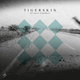 Cover art for album All Those Goodbyes by Tigerskin