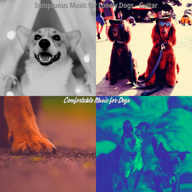 Sumptuous Music for Lonely Dogs - Guitar