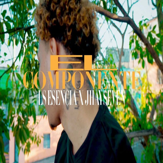 el componente