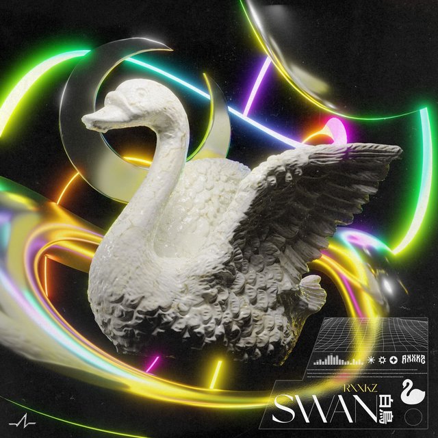 Swan