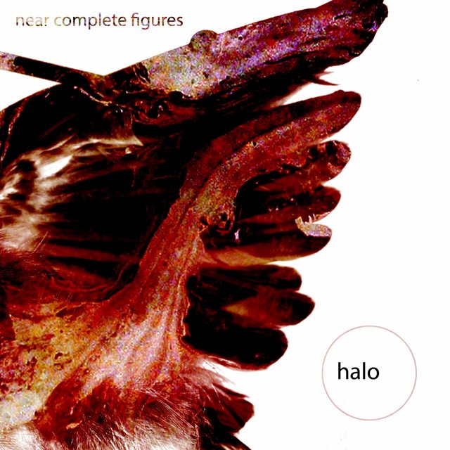 Halo