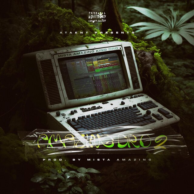 Amazing Dro 2