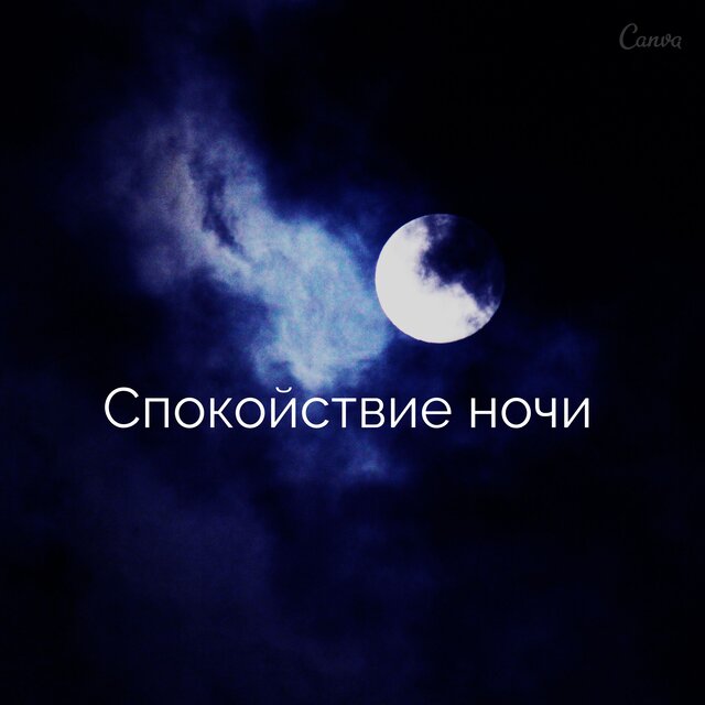 Спокойствие ночи